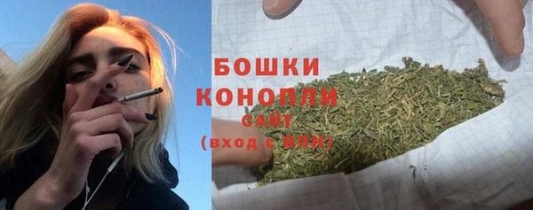 ECSTASY Покачи