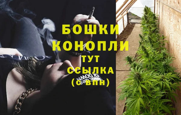 крисы Покровск