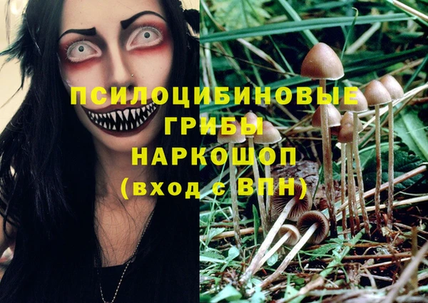ECSTASY Покачи