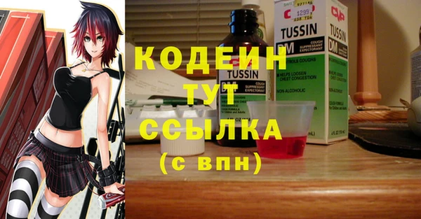 ECSTASY Покачи