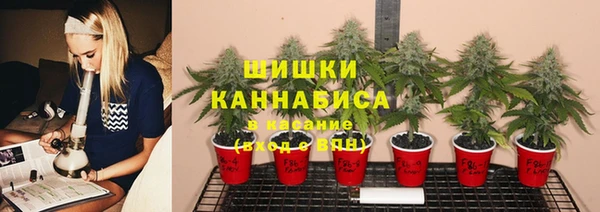 крисы Покровск